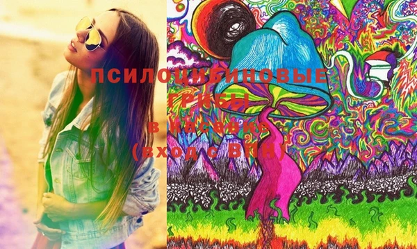 дмт Алексин