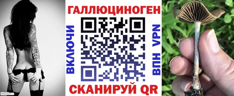 blacksprut сайт Ливны Галлюциногенные грибы Psilocybine cubensis